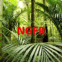 NGFR