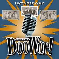 I Wonder Why (Remember Doo Wop)