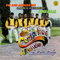 Chilena Mixteca - Los Cantaritos de Allende