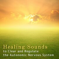 Healing Feelings - Relaxing Bgm Project