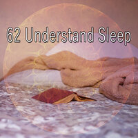 62 Understand Sleep
