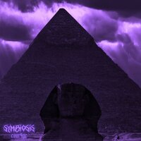 Symbiosis - Cour4ge