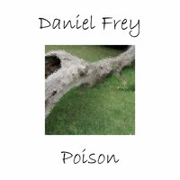 Foggy Afternoons - Daniel Frey
