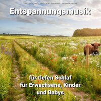 Entspannungsmusik für tiefen Schlaf für Erwachsene, Kinder und Babys