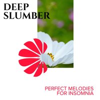 Long Time Chirp - Spa Music Paradise