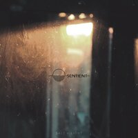 Numinous - Sentient