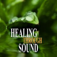The Secret of Healing - Healing Touch Music Guru