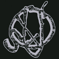 Perfect - STUY & Stuyedeyed