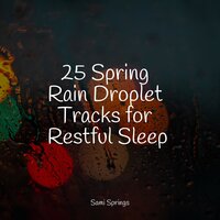 25 Spring Rain Droplet Tracks for Restful Sleep