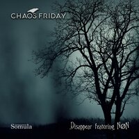 Disappear - Chaos Friday & NØn