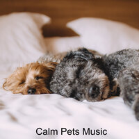 Sleepy Kitty Sleep - Music for dog's joys & Music For Cats & World of cat's & Музыка для кошек