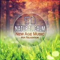 Music to Sleep - Calming Music Sanctuary