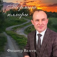 Тормыш юллары - Физанур Валеев
