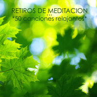 Espiritu Zen - Musica para Meditar Especialistas