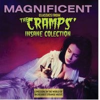 Scorpion - Jimmy McConville and The Shamrocks