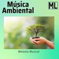 Sereno y Calmado - Musica relajante