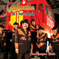 Aprendi A Perder - Cardenales de Nuevo Leon