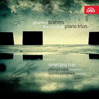 Piano Trio No. 3 in C Minor, Op. 101: I. Allegro energico - Smetana Trio & Иоганнес Брамс