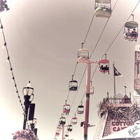 Carousel - EVERNIFTY