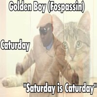 Saturday Is Caturday - Golden Boy (Fospassin)