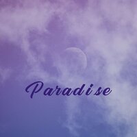 Fly - Stillness Remains
