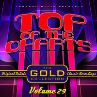 Immense Media Presents - Top Of The Charts, Vol. 29