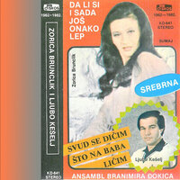 Svud se dicim sto na baba licim - Ljubo Kešelj