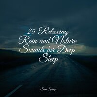 25 Relaxing Rain and Nature Sounds for Deep Sleep
