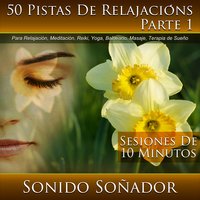 50 Pistas de Relajacións, Para Relajación, Meditación, Reiki, Yoga, Balneario, Masaje, Terapia de Sueño, Parte 1 (Sesiones de 10 Minutos)