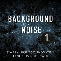 Starry Night Sounds with Crickets and Owls, Pt. 7 - Thomas O'Reilly