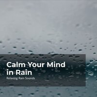 Unwind in Fall of Rain - Relaxing Rain Sounds & Rain for Sleep & Rain Drops for Sleep