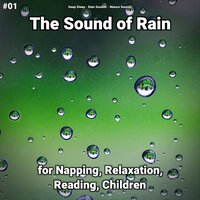 Meditation for Sleep - Deep Sleep & Rain Sounds & Nature Sounds