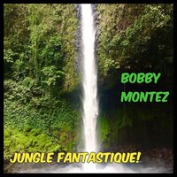 Jungle Fantastique!