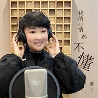 我的心情你不懂 - 胖丫