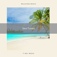 Perfect Ocean Noises with Bird Songs for Recharging Moments pt. 2 - Baltic Nature Sounds