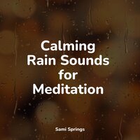 Waves by the Beach - Ambient Music Therapy & Fresh Water Sounds for Inner Peace & Sample Rain Library