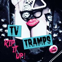 Party Animal - TV Tramps