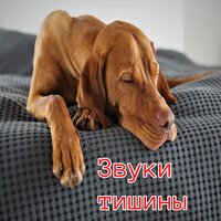 Спокойный берег - Мелодии ночи & Лунная гармония & Шепот природы