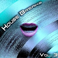 House Breaks, Vol. 3