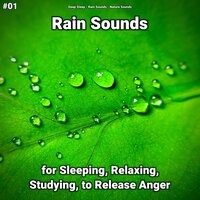 Hatha - Deep Sleep & Rain Sounds & Nature Sounds