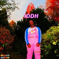 OUTRO - SIPHO.