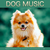 Calm Music For Dogs - Dog Music & Calming Music For Pets & Sleeping Music For Dogs