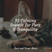 Wunder - Namaste Yoga & Soothing Chill Out For Insomnia & Sleep Music