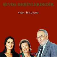 Erguvanlar - İnci Çayırlı