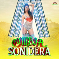 Sonido Andino Para Bailar