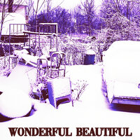 Wonderful Beautiful - PJ Smith