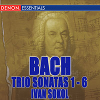 Trio Sonata No. 2 in C Minor, BWV 526: I. Vivace - Ivan Sokol & Johann Sebastian Bach