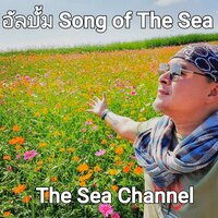 ฉันผิดหรือเธอต้องการไป - The Sea