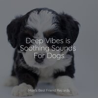 Easy Going - Dog Music Club & Calming Music for Dogs & Music for Dogs Peace
