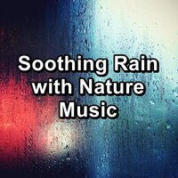 Gentle Rain with Nature Music To Sleep with for 8 Hours - Spa Music Paradise & Hotel Spa & Water Spa